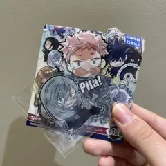 呪術廻戦　ぴた！でふぉめ　アクリルキーホルダー　真人