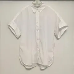 Item thumbnail for item 69777c4e-c8c8-4933-83ed-fa41c486aa79