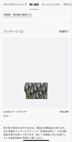 Dior Saddle カードホルダー