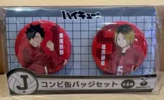 Happyくじ ハイキュー コンビ缶バッジセット