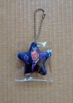 サンフレッチェ 応援グッズ