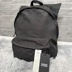 【極希少】Raf Simons Eastpak SS19 ポスター バックパックのサムネイル