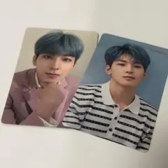 SEVENTEEN セブチ ウォヌ 舞い落ちる花びら トレカ セット HMV