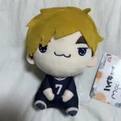 2026年最新】ハイキューぬいぐるみの人気アイテム - メルカリ