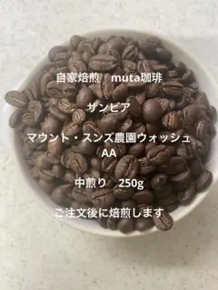 ザンビア マウント・スンズ農園ウォッシュ AA 中煎り　250g