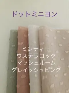 ４枚☆ドットミニヨン check&stripe c&s チェックアンドストライプ