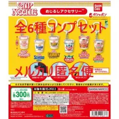 日清カップヌードル めじるしアクセサリー 全6種コンプセット