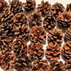 Item thumbnail for item 18a9d368-7701-4512-9d5d-0c09391fb040