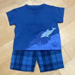 Tシャツ & パンツまとめ売り80サイズのサムネイル