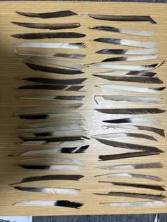 矢羽/羽