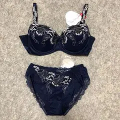 プレジアフォルテ　D75ブラジャー &  MかL選べるショーツセット　日本製