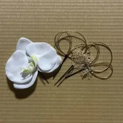 胡蝶蘭 髪飾り