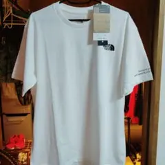 THE NORTH FACE Minsah Iahigaki Tee