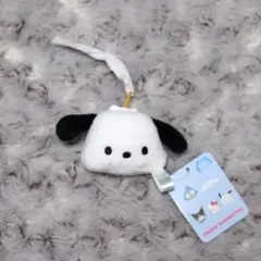 サンリオキャラクターズ　フェスマスコット2 ポチャッコ