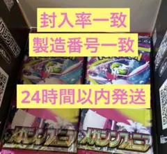 【統一BOX】封入率一致 メガシンフォニア1box