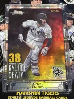 Item thumbnail for item 66889994-33ff-4456-a716-4841d672dd41