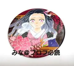 鬼滅の刃 コレクション缶バッジ 第2弾 禰豆子