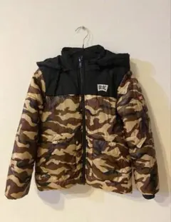 Item thumbnail for item 6b611bd0-f4f5-4375-8230-76bd12493059