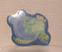 ウミガメ　メモ