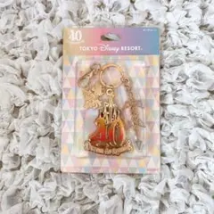 ディズニー リゾート40周年 キーチェーン 限定品　販売終了品