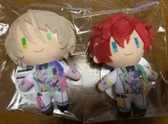 コスマス 一彩 藍良 2点セット