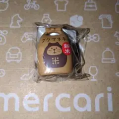 【新米フクマネキ】ミニチュア　concombre
