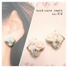 ✴no.810✴　ハンドメイドピアス・イヤリング
