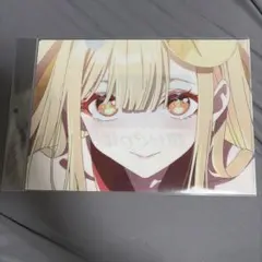 限定 レア 希少 冴えない彼女の育てかた 冴えカノ クリアファイル 限定 レア 希少 冴えない彼女の育てかた 冴えカノ クリアファイル