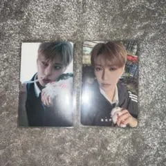 ALPHADRIVEONE ARNOトレカ2枚セット