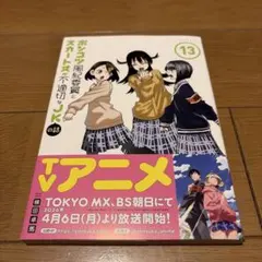 ポンコツ風紀委員とスカート丈が不適切なJKの話(13)
