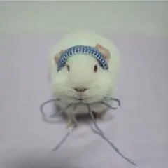 モルモット ぬいぐるみ ヘッドドレス メタルブルー 太め