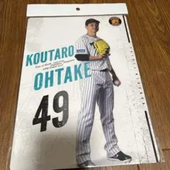 Item thumbnail for item 21e22060-4acc-44c3-9cce-fd7389154fb3