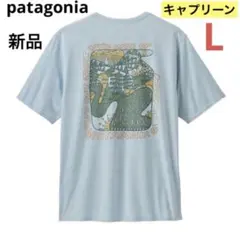 大特価‼️パタゴニア メンズ・キャプリーン・クール・デイリー・グラフィック⭐️完売⭐️