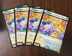 大集合 アカネ&アサギ&コハク　即発送