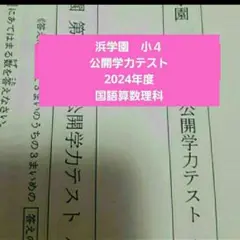 2025年最新】浜学園 公開テスト 小4の人気アイテム - メルカリ