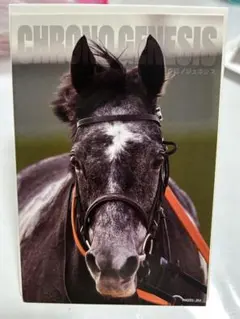サイン入り フェニックスカード ヤラ クラッセン選手 非売品 - メルカリ
