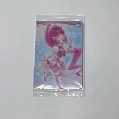 サボさん様 リクエスト 2点 まとめ商品