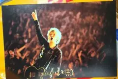 2025年最新】SuperBeaver パネルの人気アイテム - メルカリ