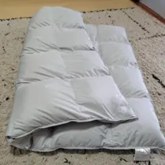 Item thumbnail for item b29cdec9-d48d-4b88-8737-664597ed906a