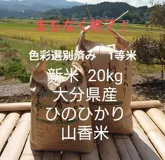 まもなく終了！色彩選別済み！1等米 20Kg 大分県産 ひのひかり 山香米