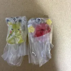 ポケモンめじるしアクセサリー ポケモンセンター限定 ガチャガチャ