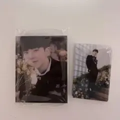 Seventeen FML Carat盤 セブチ トレカ バインダー ホシ