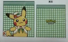 ポケパークカントー　巾着　ピカチュウ (バラ売り)