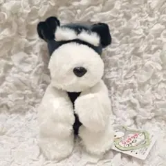 くったりシュナウザーファイン　ごましおのサムネイル