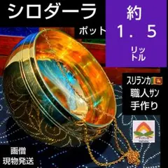 2025年最新】シロダーラポットの人気アイテム - メルカリ