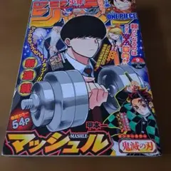 2026年最新】ワンピース 新連載号の人気アイテム - メルカリ