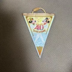 東京ディズニーリゾート限定！ 40周年タペストリー