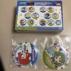 セガラッキーくじ ソニック ぷよぷよ C賞 缶バッジ ナックルズ サタン