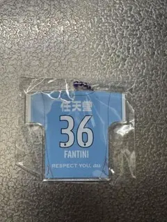 京都サンガF.C ファンティーニ　燦