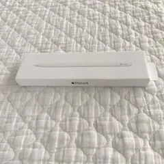 Apple Pencil USB-C アップル純正品